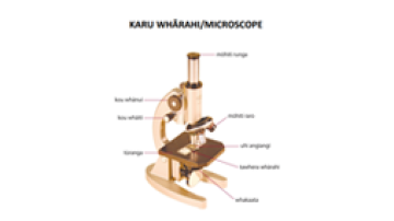 Resource Karu Wharahi Microscope diagram Image
