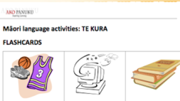Resource Te Kura activities Image