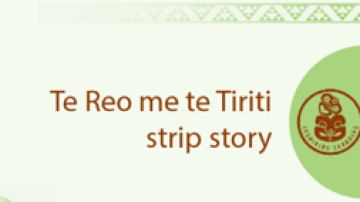 Resource Te Reo me te Tiriti strip story Image